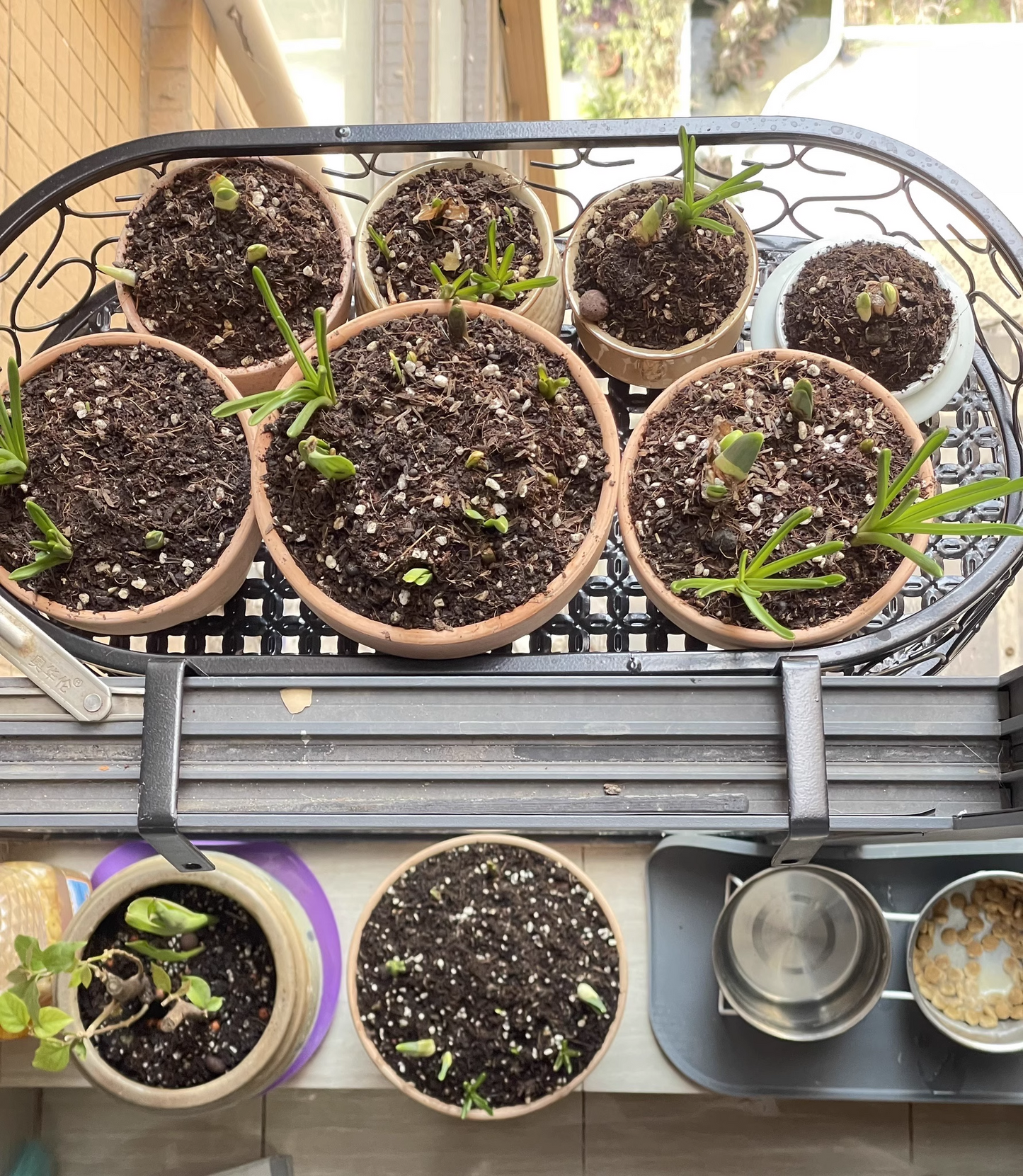 Purpose Organic Fertilizer - Nourish Your Plants Naturally